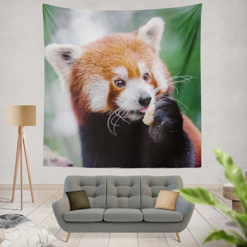 Red Panda Furry Innocence Wall Hanging Tapestry