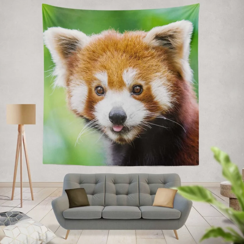 Red Panda Intense Stare Nature Wonder Wall Hanging Tapestry