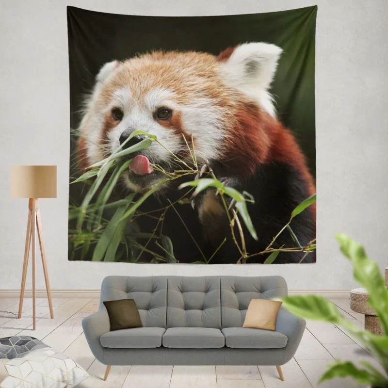 Red Panda Playful Charm Wall Hanging Tapestry