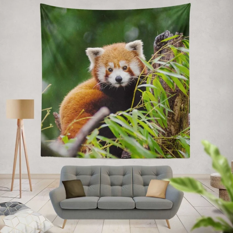 Red Panda Playfulness Wall Hanging Tapestry