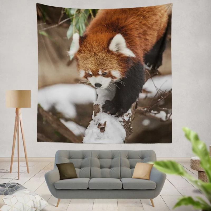 Red Panda Urban Visit Chicago Zoo Wall Hanging Tapestry