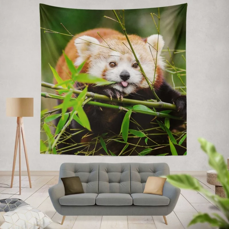 Red Panda Wall Hanging Tapestry