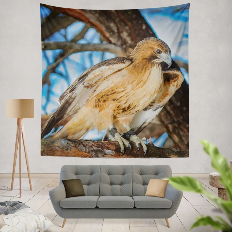 Red-Tailed Hawk Focused Gaze Hunter Stare Wall Hanging Tapestry