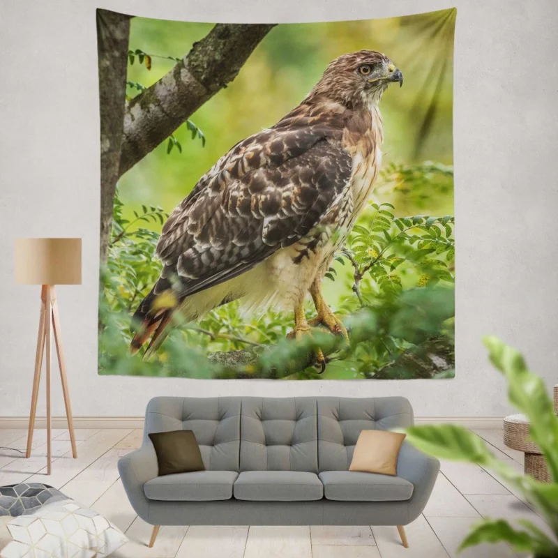 Red-Tailed Hawk Tree Perch Aerial Majesty Wall Hanging Tapestry