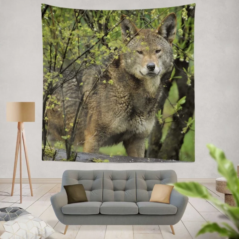 Red Wolf Intense Gaze Fiery Power Wall Hanging Tapestry