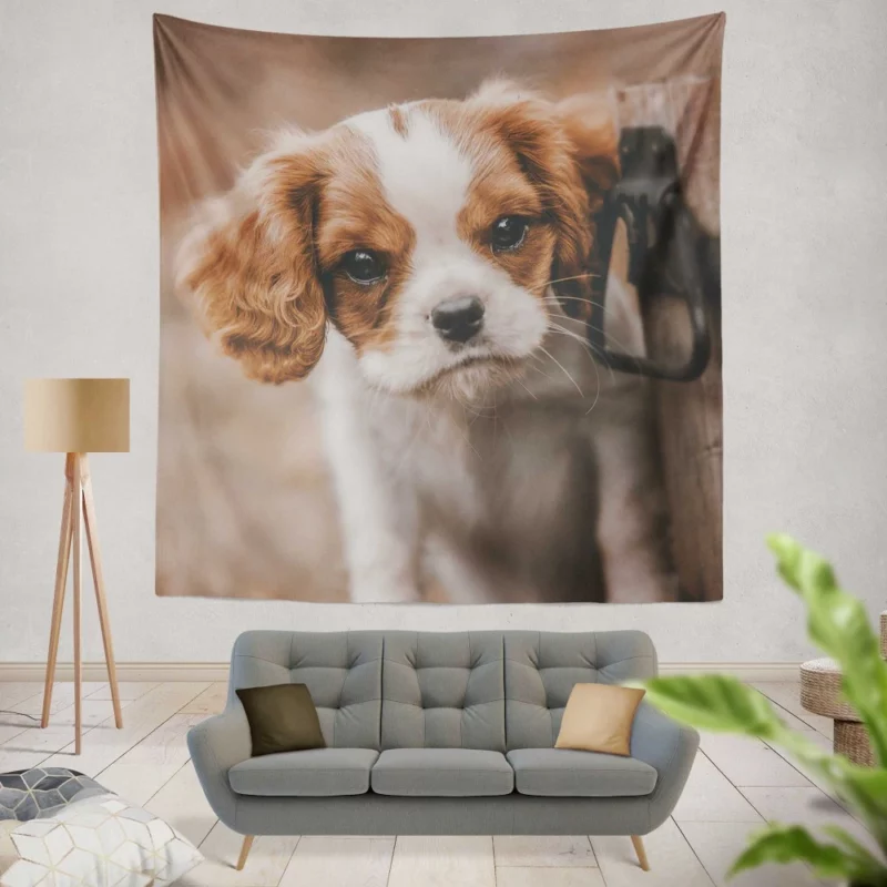 Regal King Charles Spaniel Wall Hanging Tapestry