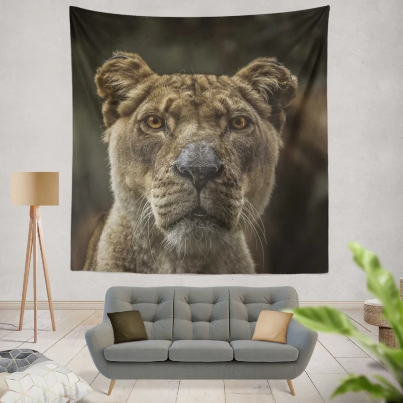 Regal Lion Gaze Wilderness Majesty Wall Hanging Tapestry