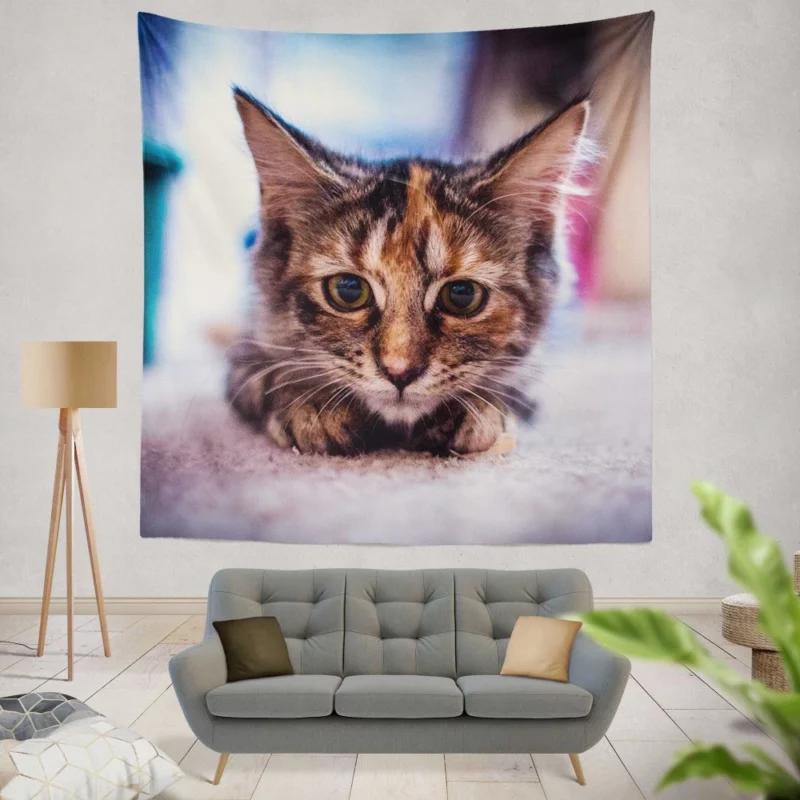 Restful Kitten Feline Serenity Wall Hanging Tapestry