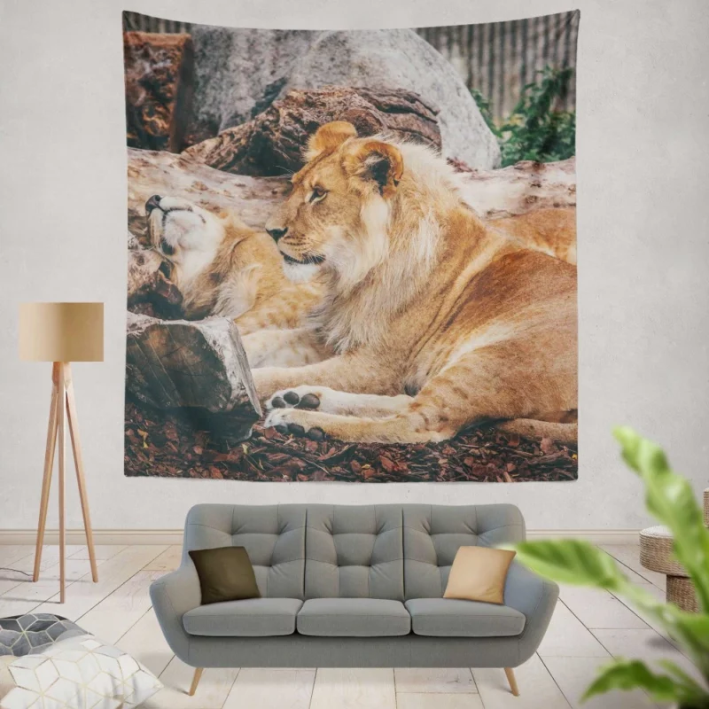 Resting Lion Regal Beauty Majestic Aura Wall Hanging Tapestry