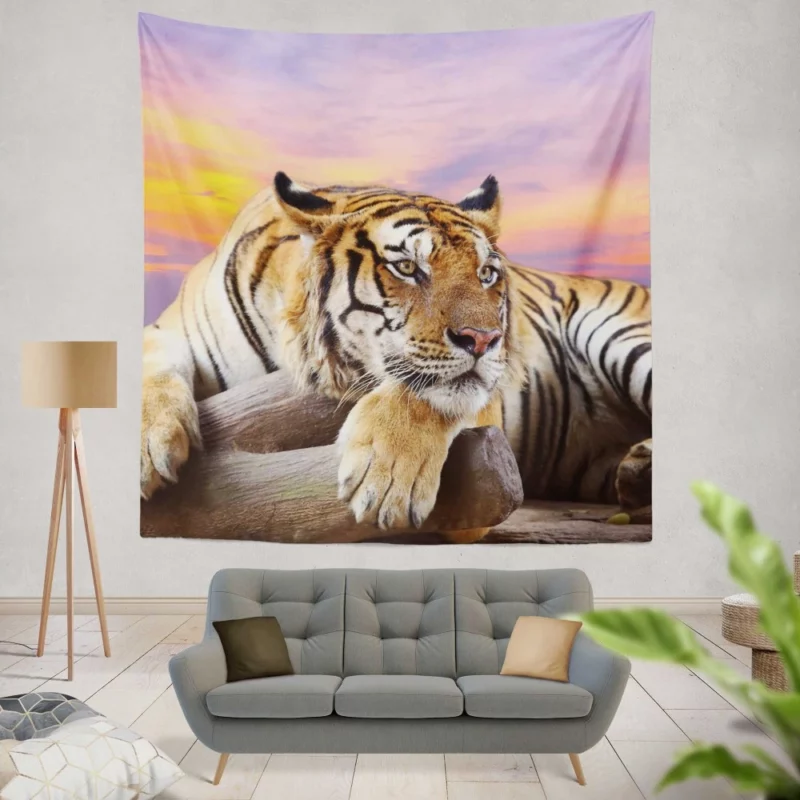 Resting Tiger at Sunset Majestic Grace Wall Hanging Tapestry