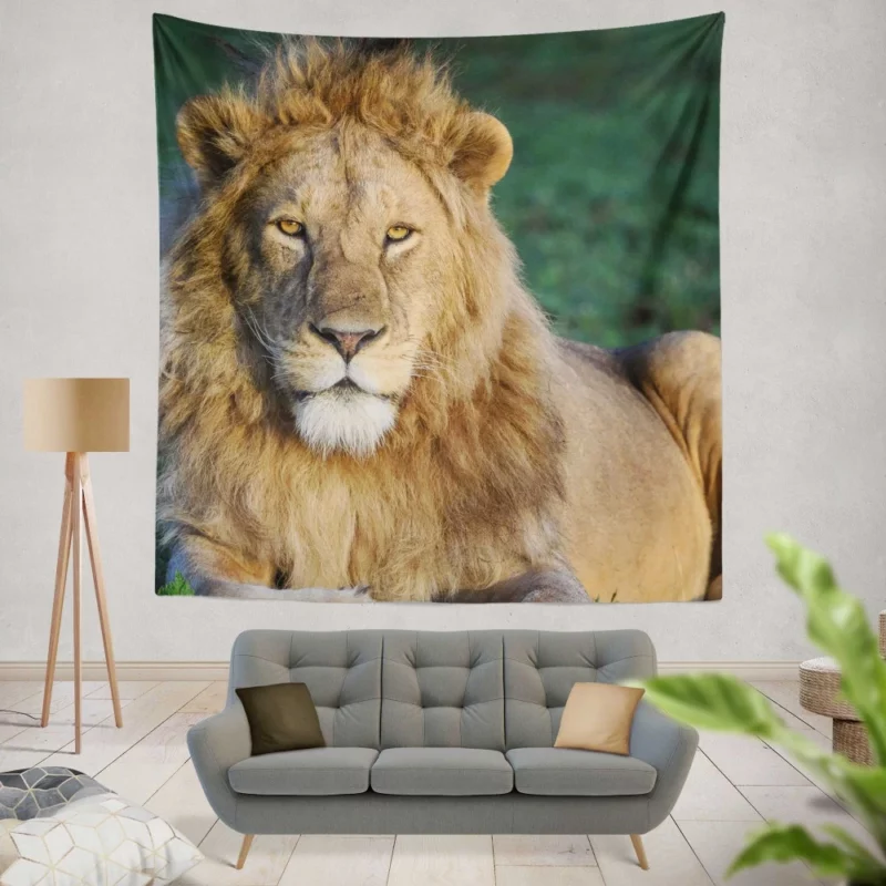 Roaring Lion Majesty Wall Hanging Tapestry