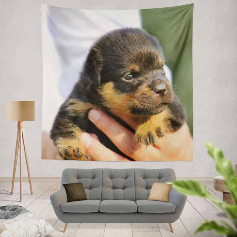 Rottweiler Puppy Canine Charmer Wall Hanging Tapestry