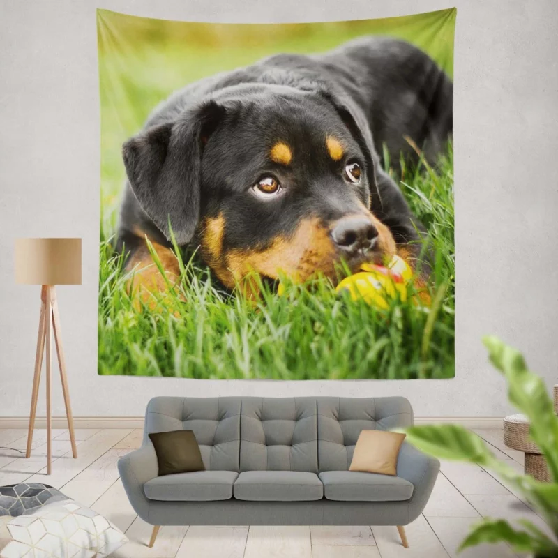 Rottweiler Puppy Playful Energy Wall Hanging Tapestry