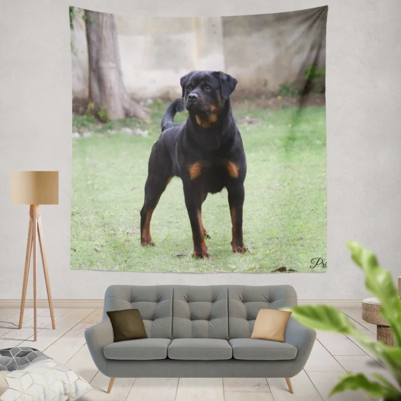 Rottweiler Regal Gaze Loyal Companion Wall Hanging Tapestry