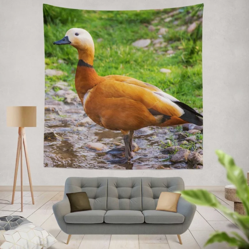 Ruddy Shieldduck Aquatic Charm Exotic Bird Wall Hanging Tapestry