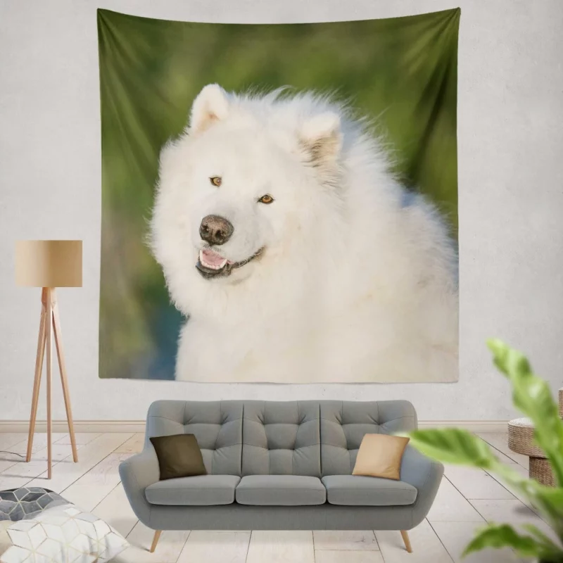 Samoyed Fluffy Grace Canine Elegance Wall Hanging Tapestry