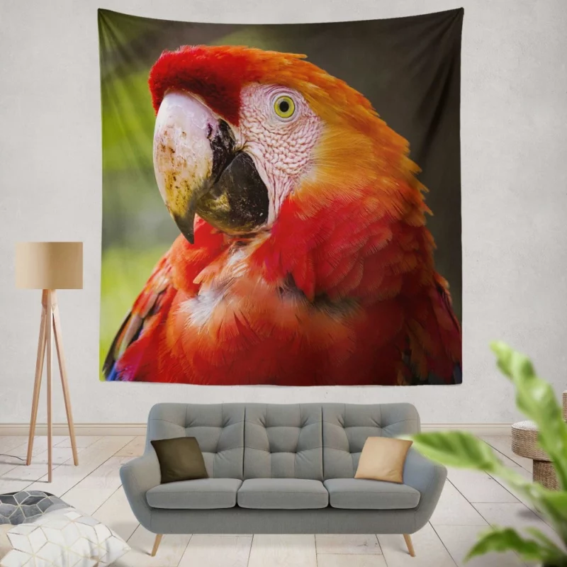 Scarlet Macaw Fiery Charm Tropical Delight Wall Hanging Tapestry