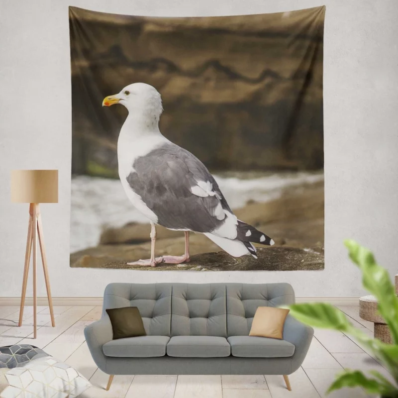 Seagull Coastal Pause Rocky Reflection Wall Hanging Tapestry