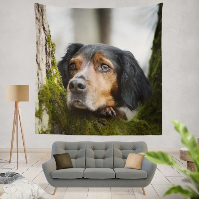 Sennenhund Intense Stare Canine Majesty Wall Hanging Tapestry