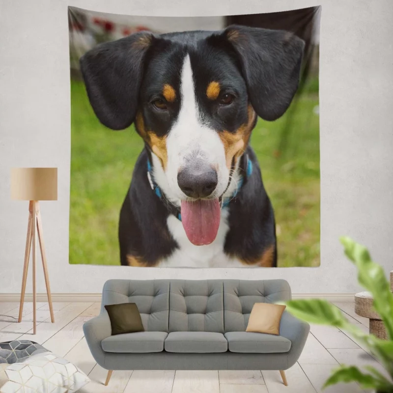 Sennenhund Relaxed Pose Mountain Comfort Wall Hanging Tapestry