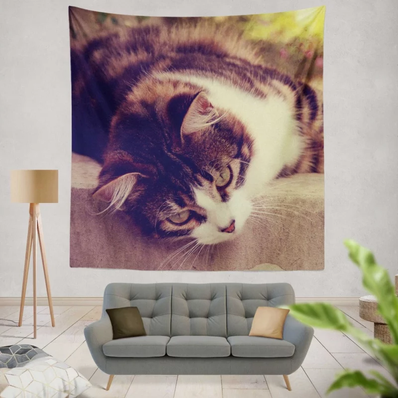 Serene Cat Posture Wall Hanging Tapestry