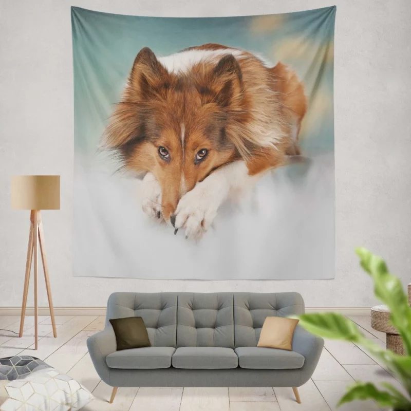 Shetland Sheepdog Intense Stare Wall Hanging Tapestry