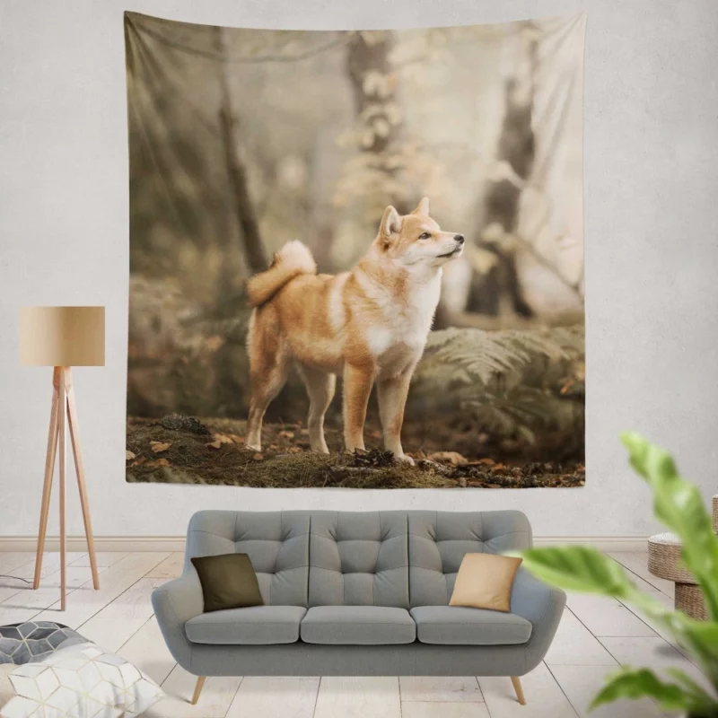 Shiba Inu Depth of Field Gaze Wall Hanging Tapestry