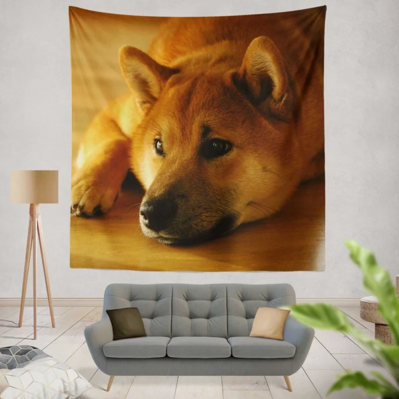 Shiba Inu Restful Gaze Furry Serenity Wall Hanging Tapestry