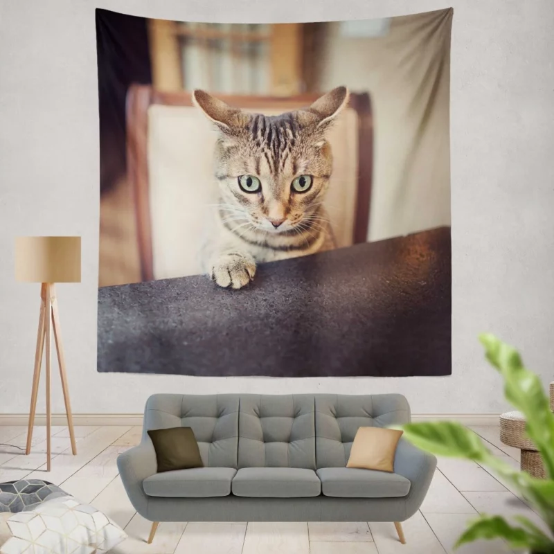 Siamese Cutie Feline Joy in Hat Wall Hanging Tapestry