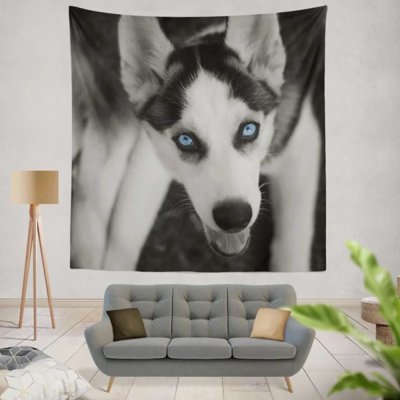 Siberian Husky Arctic Elegance Wall Hanging Tapestry