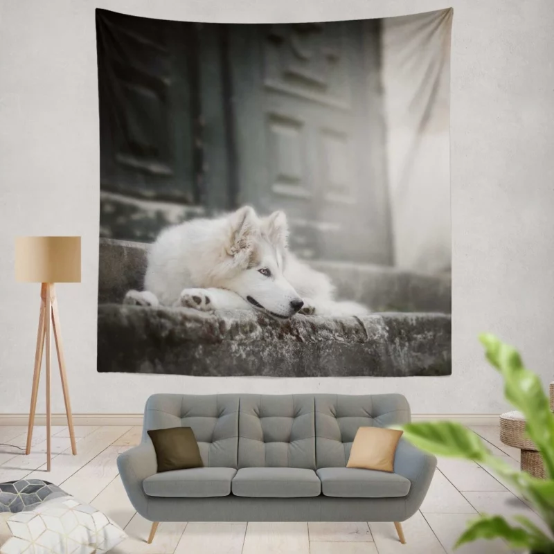 Siberian Husky Majestic Stare Wall Hanging Tapestry