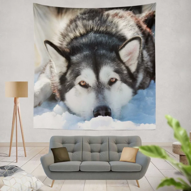 Siberian Husky in Snowfall Serenity Wall Hanging Tapestry