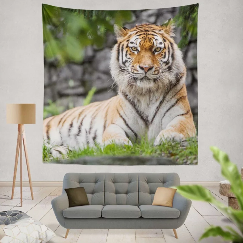 Siberian Tiger Fierce Female of the Zoo Wall Hanging Tapestry