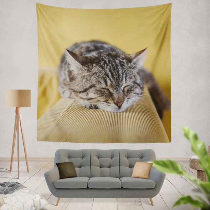 Sleeping Kitten Dreamy Repose Wall Hanging Tapestry