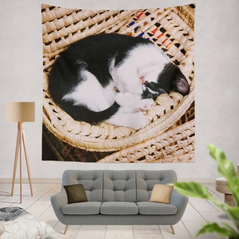 Sleeping Kitten in Cozy Basket Wall Hanging Tapestry