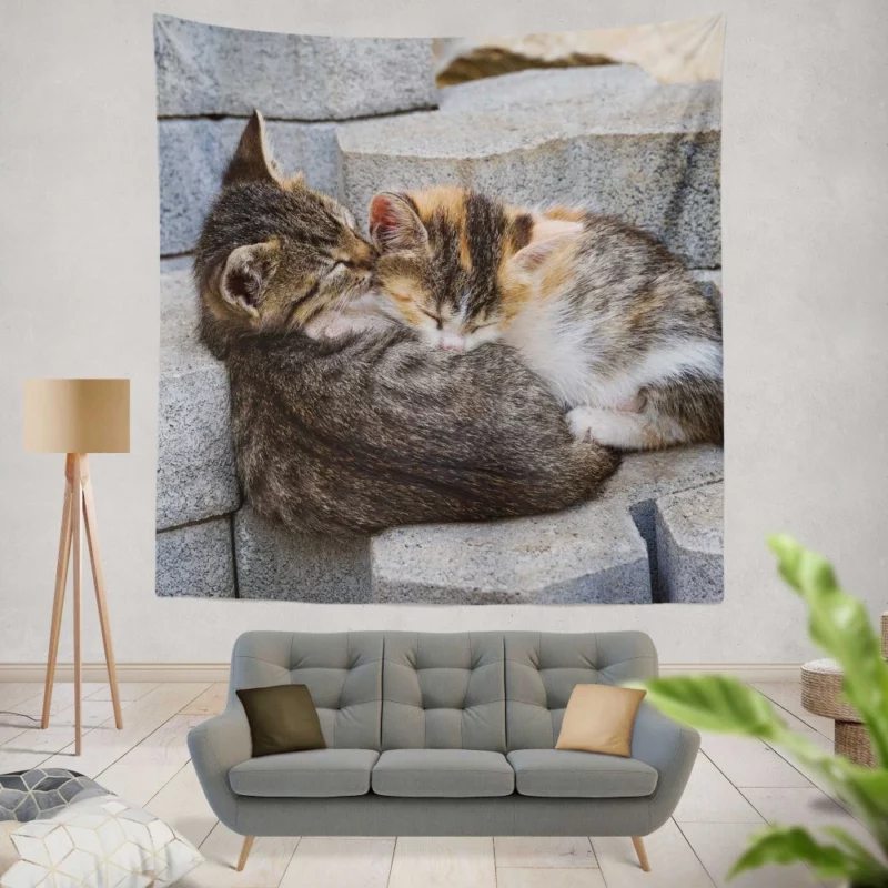 Sleeping Kitten on Stone Dreamy Innocence Wall Hanging Tapestry