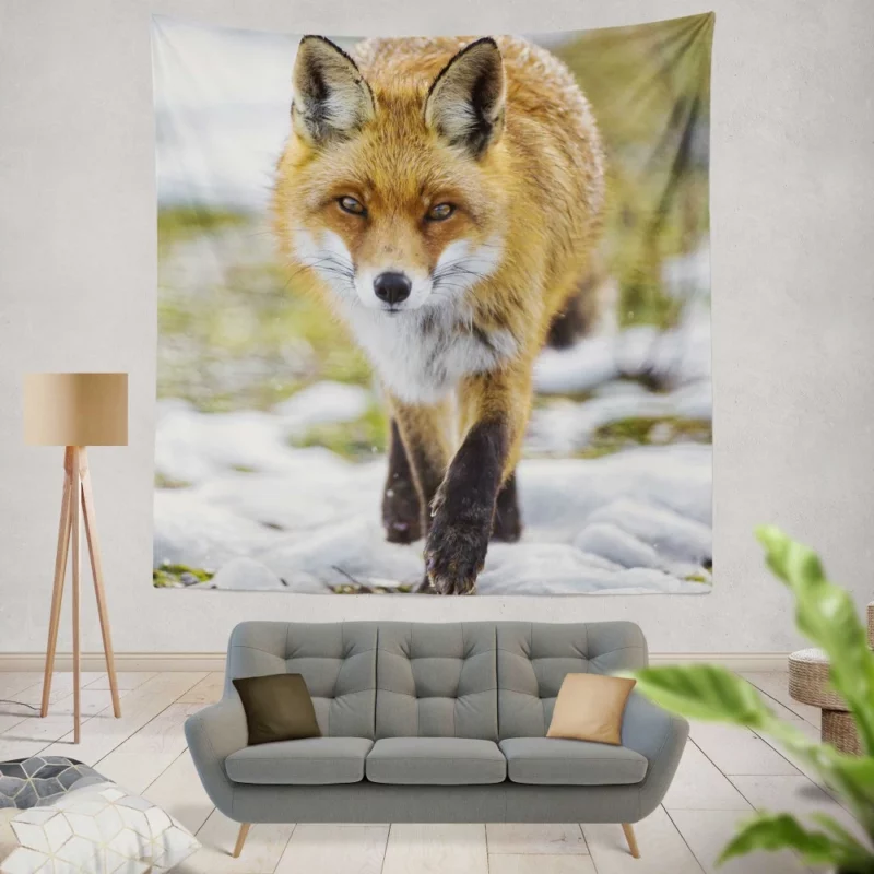 Sly Fox Gaze Exotic Wilderness Wall Hanging Tapestry