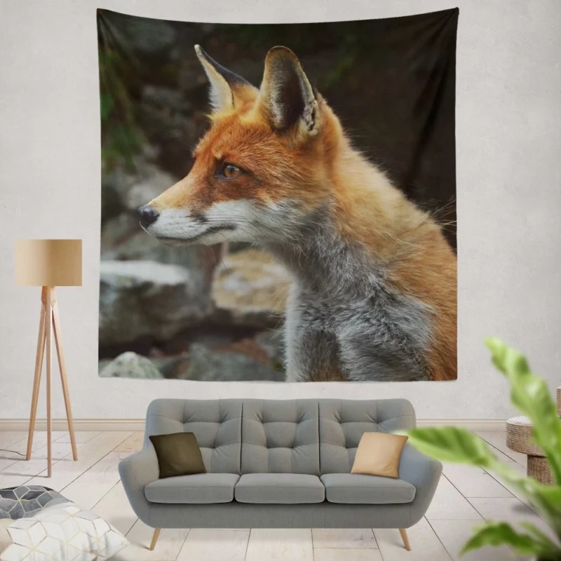 Sly Fox Gaze Nature Curiosity Wall Hanging Tapestry