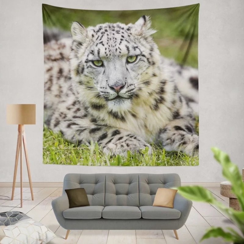 Snow Leopard Mystique Wilderness Elegance Wall Hanging Tapestry