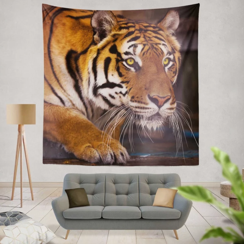 Snowy Tiger Enigmatic Gaze Wilderness Majesty Wall Hanging Tapestry