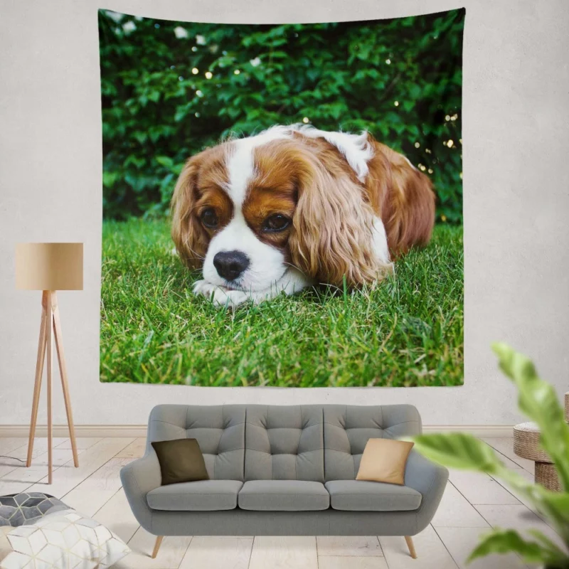 Spaniel Puppy Sweet Innocence Wall Hanging Tapestry