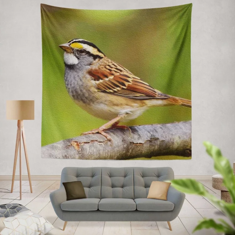 Sparrow Artful Pose Canvas Creation Wall Hanging Tapestry