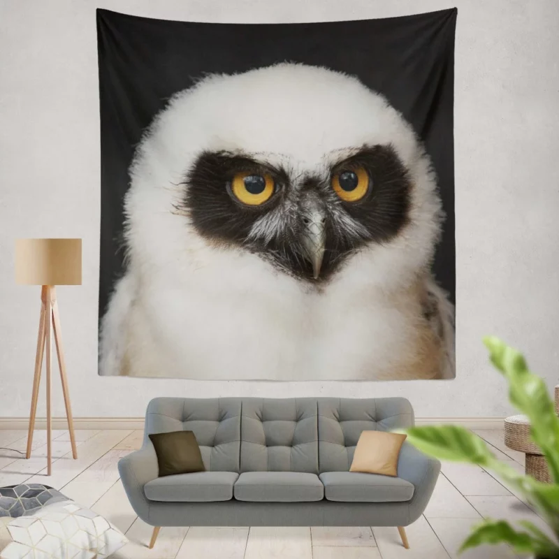 Spectacled Owl Chick Curious Avian Youth Wall Hanging Tapestry