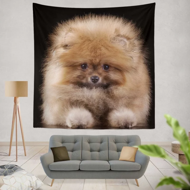 Spitz Puppy Fluffy Appeal Puppy Love Wall Hanging Tapestry