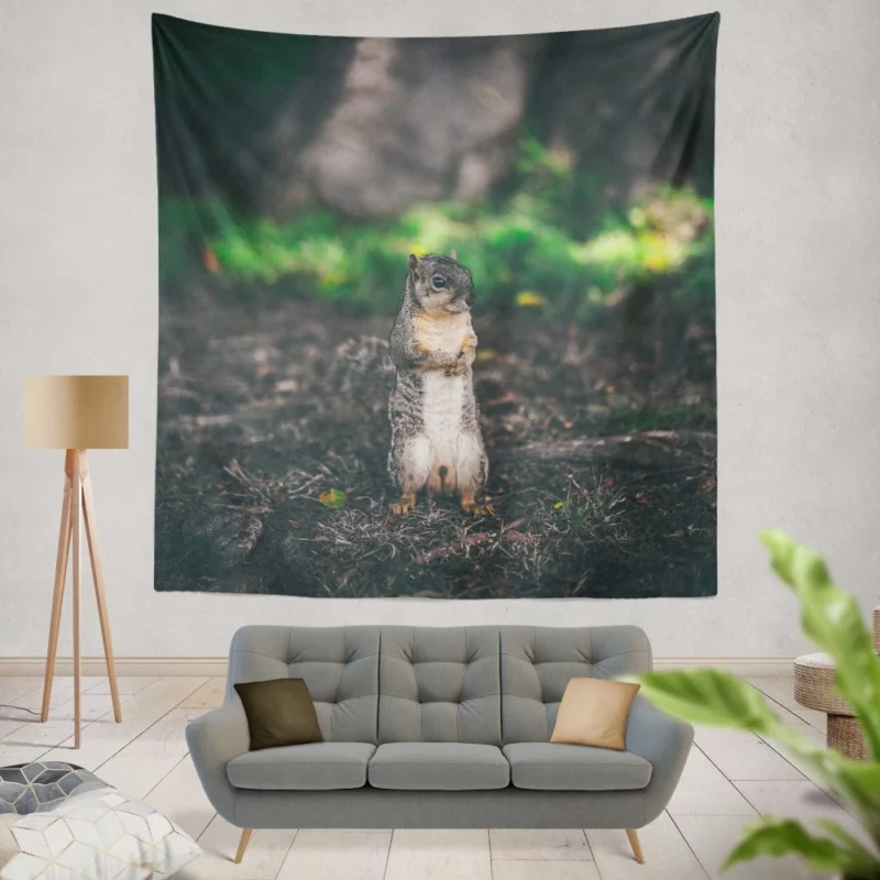 Squirrel Curious Rodent Nature Wall Hanging Tapestry