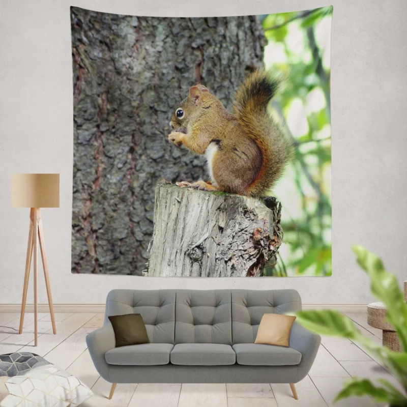 Squirrel Hidden Beauty Nature Gem Wall Hanging Tapestry