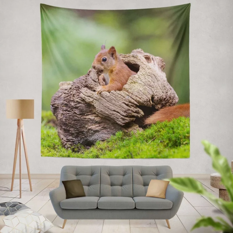 Squirrel Mossy Hideaway Forest Intrigue Wall Hanging Tapestry