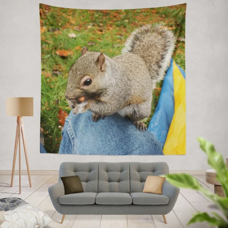 Squirrel Playful Acrobatics Natural Joy Wall Hanging Tapestry