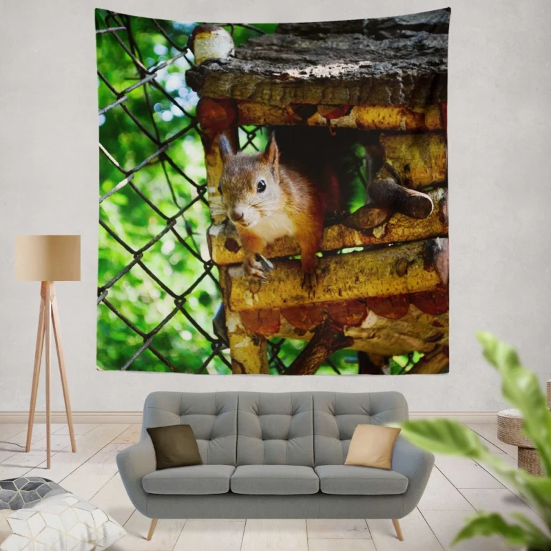 Squirrel Quick Glance Nature Intrigue Wall Hanging Tapestry