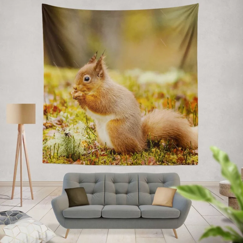 Squirrel Rodent Adventure Foraging Fun Wall Hanging Tapestry